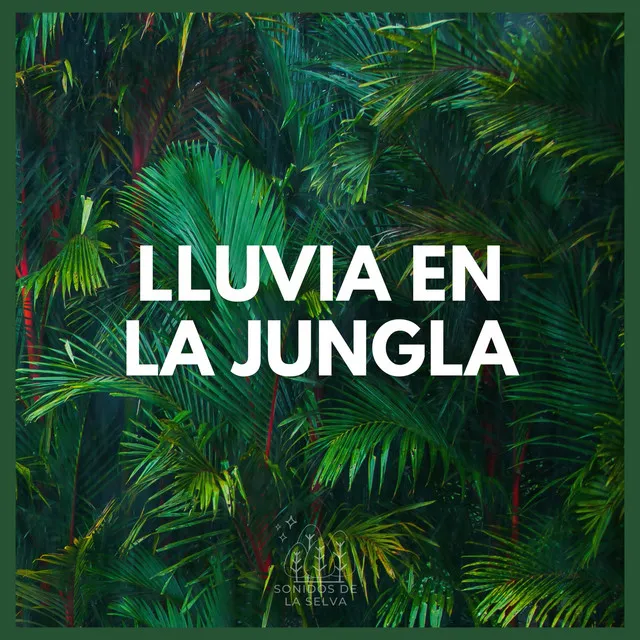 Lluvia en la Jungla