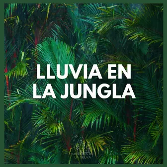 Lluvia en la Jungla by Sonidos De La Selva