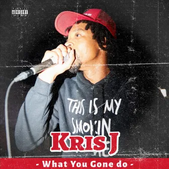 What You Gone Do by Kris J