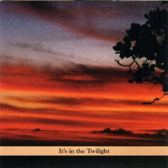 It's In The Twilight by Paul Shapiro