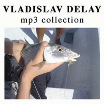 MP3 Collection by Vladislav Delay