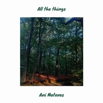 All the things by Ani Matevos