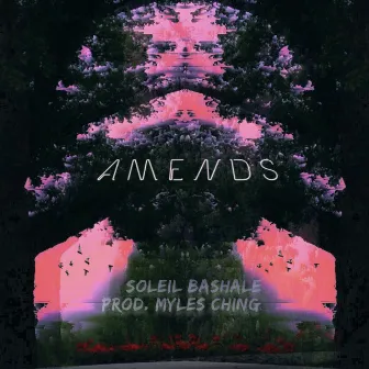 Amends by Soleil Bashale