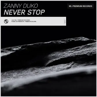 Never Stop by Zanny Duko