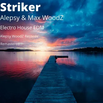 Striker (Remastered) by Alepsy