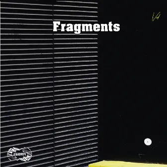 Fragments by Vid