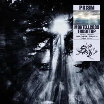 PRISM by Montell2099