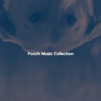 Pooch Music Collection by Light Guitar Music