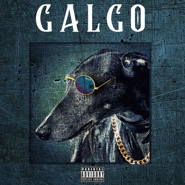 Galgo