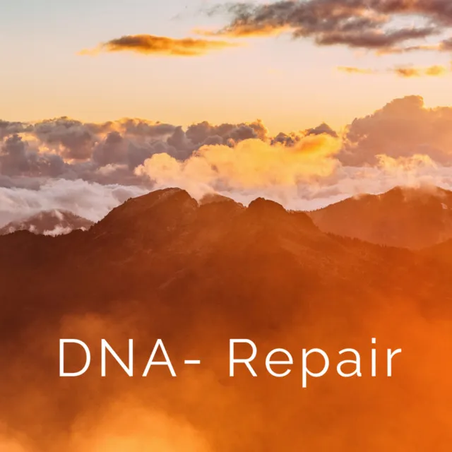 DNA Repair