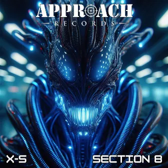 Section 8 by X-S