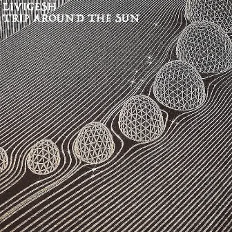 Trip Around the Sun by Unknown Artist