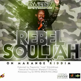 Rebel Souljah (Marange Riddim) - Single by D Medz