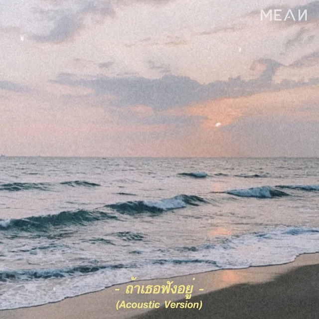 ถ้าเธอฟังอยู่ - Acoustic Version