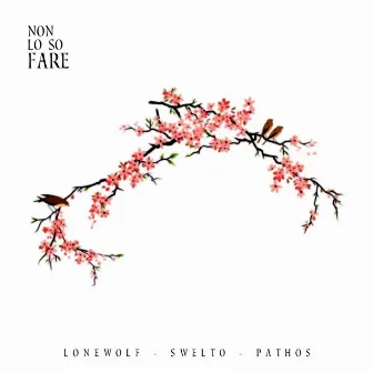 Non lo so fare by LoneWolf