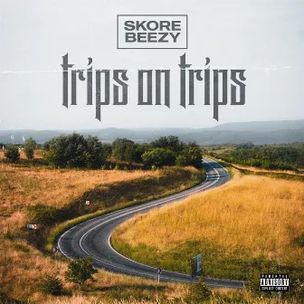 Trips on Trips by Skore Beezy