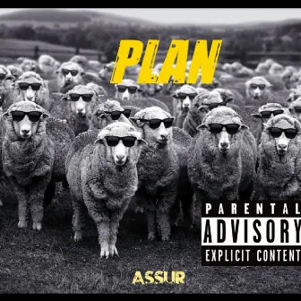 Plan by assur