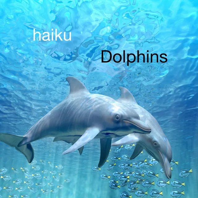 Dolphins