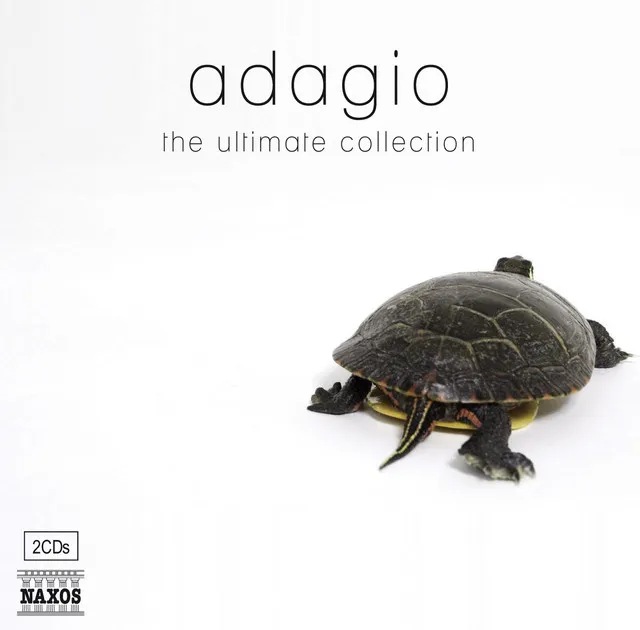 Piano Concerto No. 23 in A Major, K. 488: II. Adagio