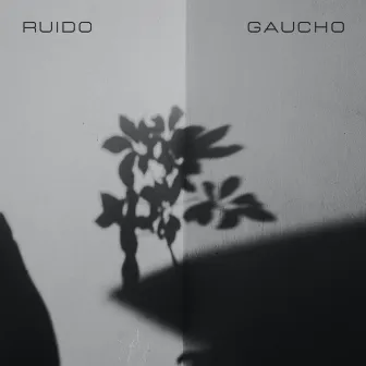 Ruido Gaucho by Ruido Gaucho