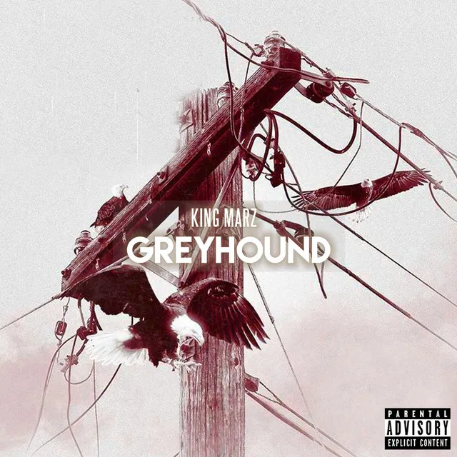 Greyhound