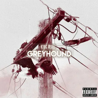 Greyhound by King Marz