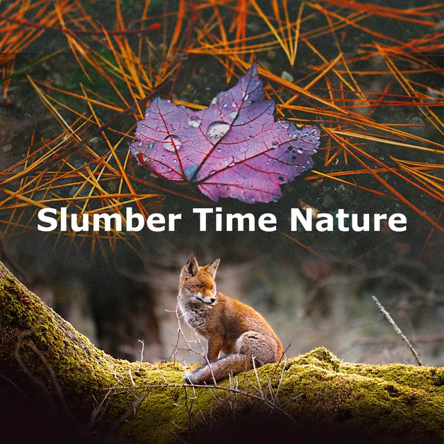 Slumber Time Nature