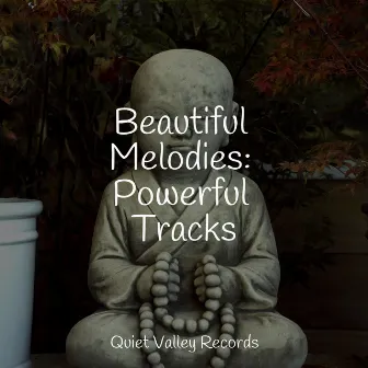 Beautiful Melodies: Powerful Tracks by Lightning