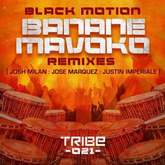 Banane Mavoko (feat. Jah Rich) by Black Motion