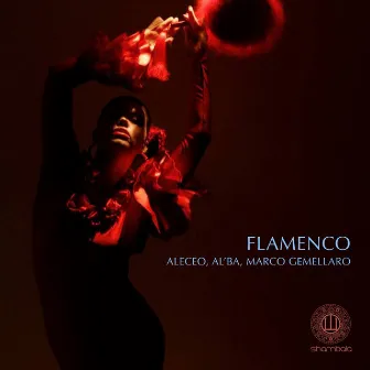 Flamenco by AL'BA