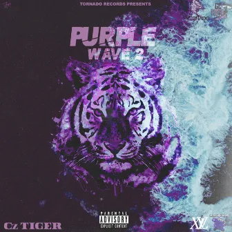 PURPLE WAVE 2 by Cz Tiger