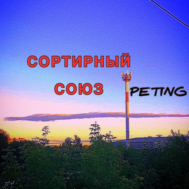 Сортирный союз