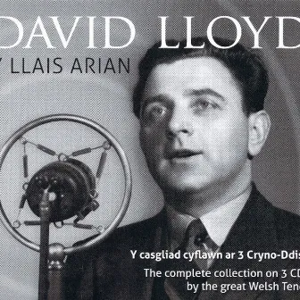 Y Llais Arian by David Lloyd