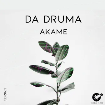 Akame by Da Druma