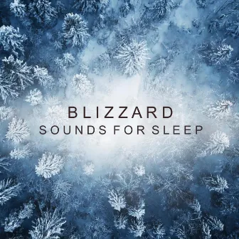 Blizzard Sounds For Sleeping by Meditation Relaxation Spa