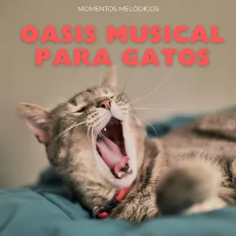 Oasis Musical Para Gatos: Momentos Melódicos by Música fácil de escuchar el domingo por la mañana