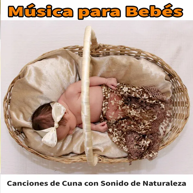 Música para Bebés: Canciones de Cuna con Sonido de Naturaleza