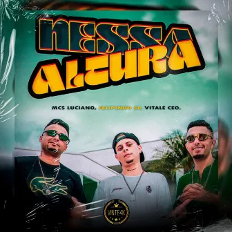 Nessa altura by MC Felipinho SP