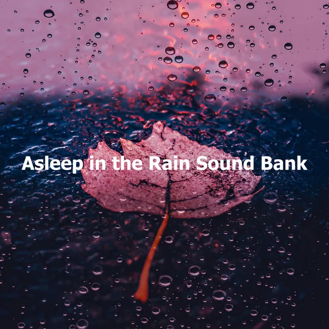 Asleep in the Rain Sound Bank