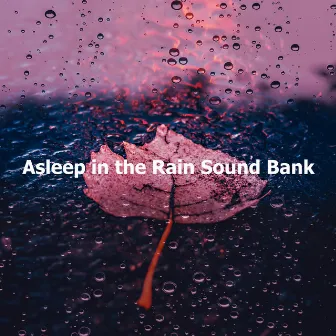 Asleep in the Rain Sound Bank by Rain Sounds Lab