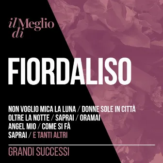 Il Meglio Di Fiordaliso: Grandi Successi by Fiordaliso