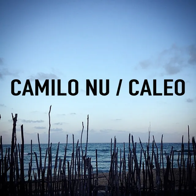 Caleo