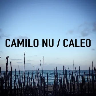 Caleo by Camilo Nu