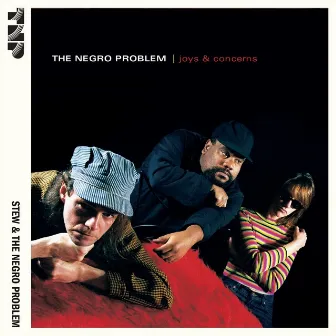 Joys & Concerns by Stew & The Negro Problem