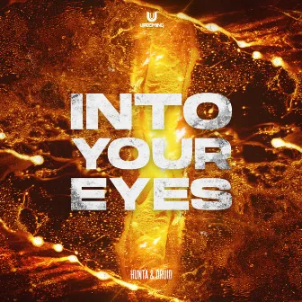 Into Your Eyes by Druid