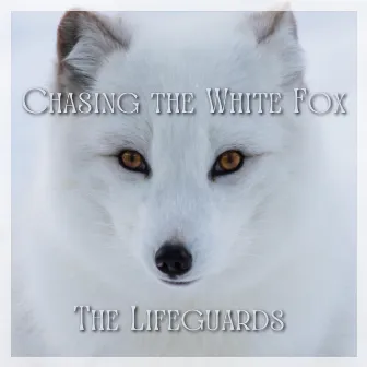 Chasing the White Fox by The Lifeguards