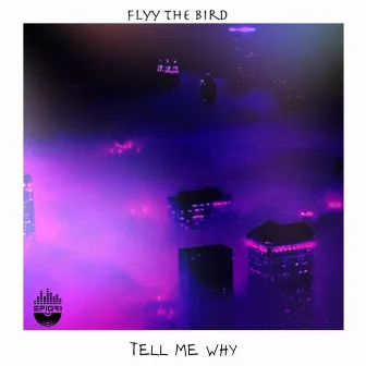 Tell Me Why by Flyy The BirD