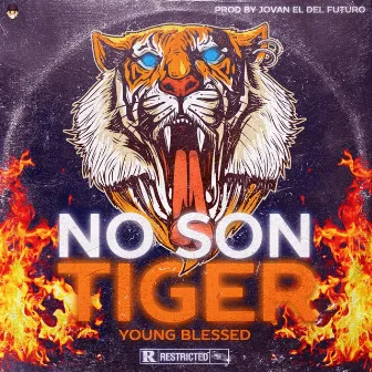 No Son Tiger by Young Blessed