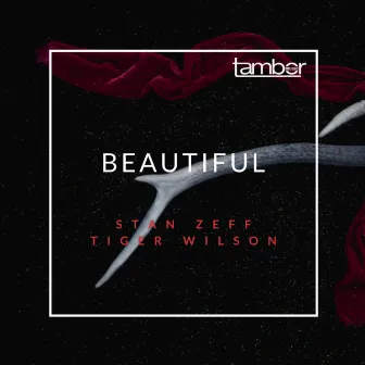 Beautiful by Tiger Wilson