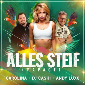 Alles Steif (Papagei) by DJ Cashi